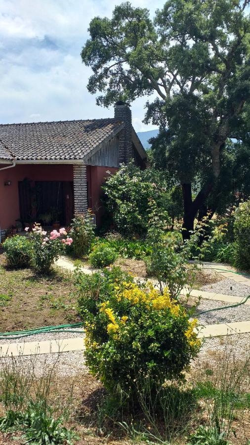 Vivenda Do Sobreiro Al *
